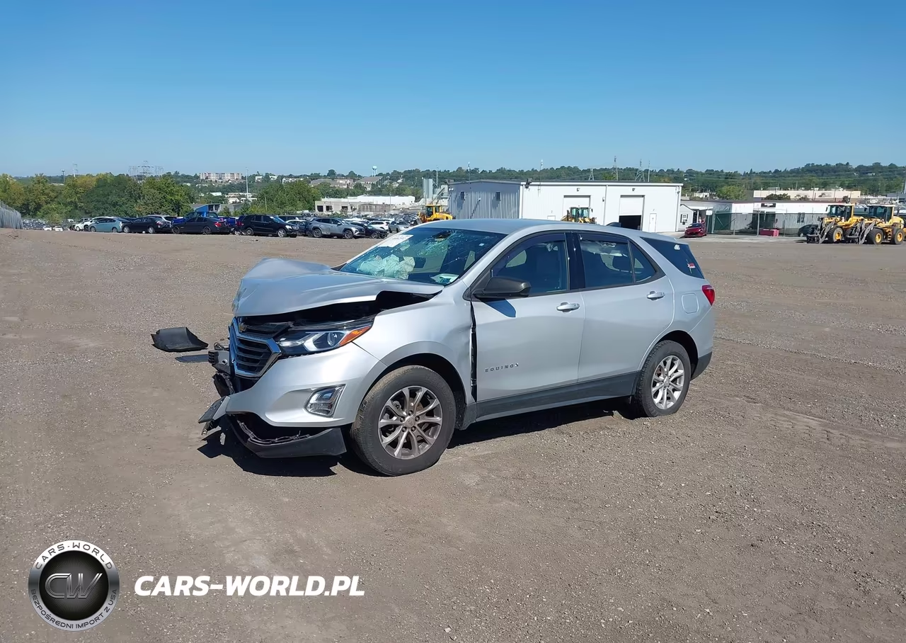 2019 Chevrolet Equinox Ls VIN:2GNAXSEV5K6197605 - 2