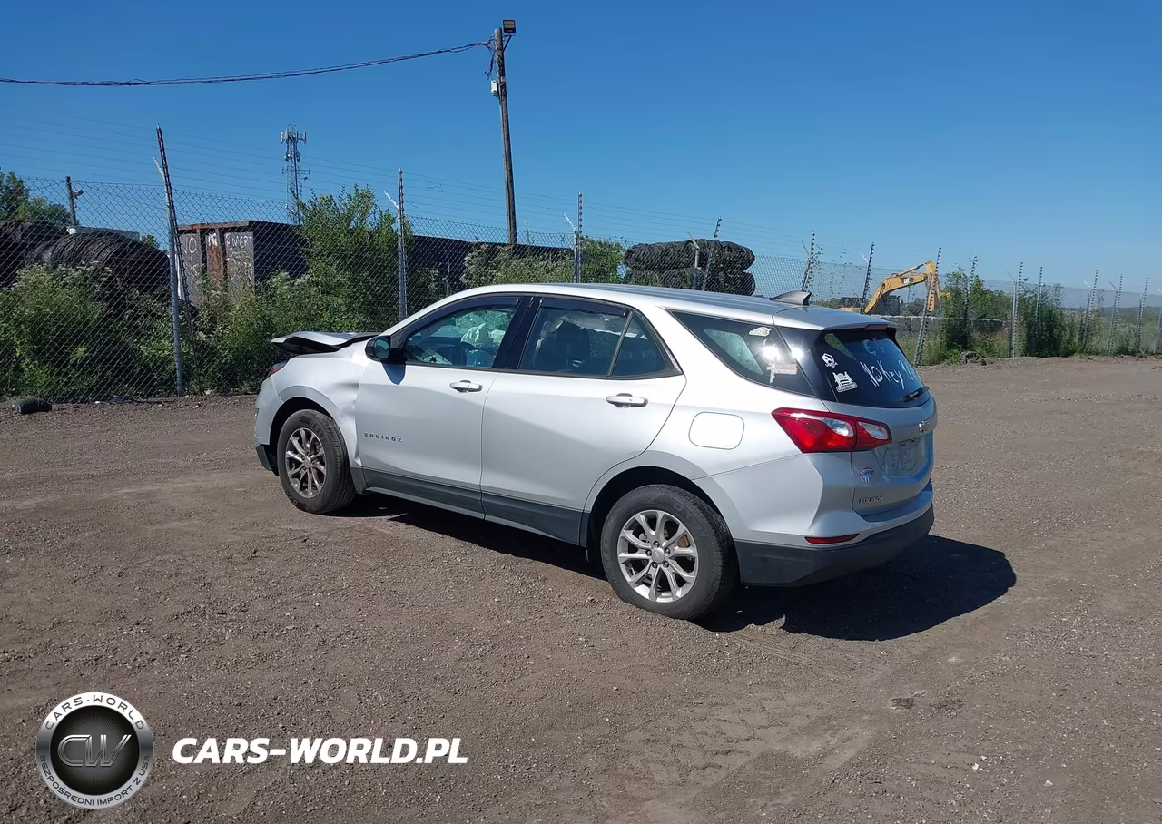 2019 Chevrolet Equinox Ls VIN:2GNAXSEV5K6197605 - 3
