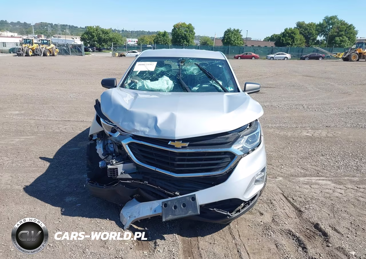 2019 Chevrolet Equinox Ls VIN:2GNAXSEV5K6197605 - 6