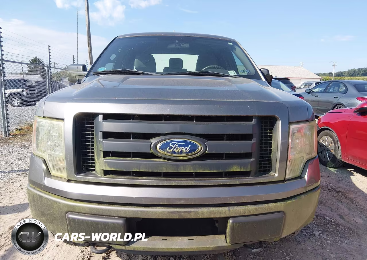 2011 Ford F-150 Stx VIN:1FTEX1EM6BFB20095 - 12