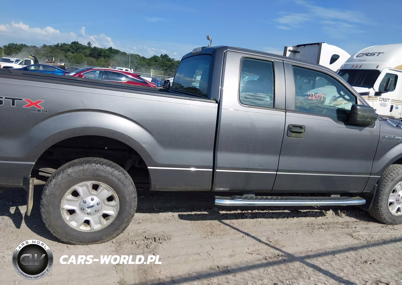 2011 Ford F-150 Stx VIN:1FTEX1EM6BFB20095 - 13