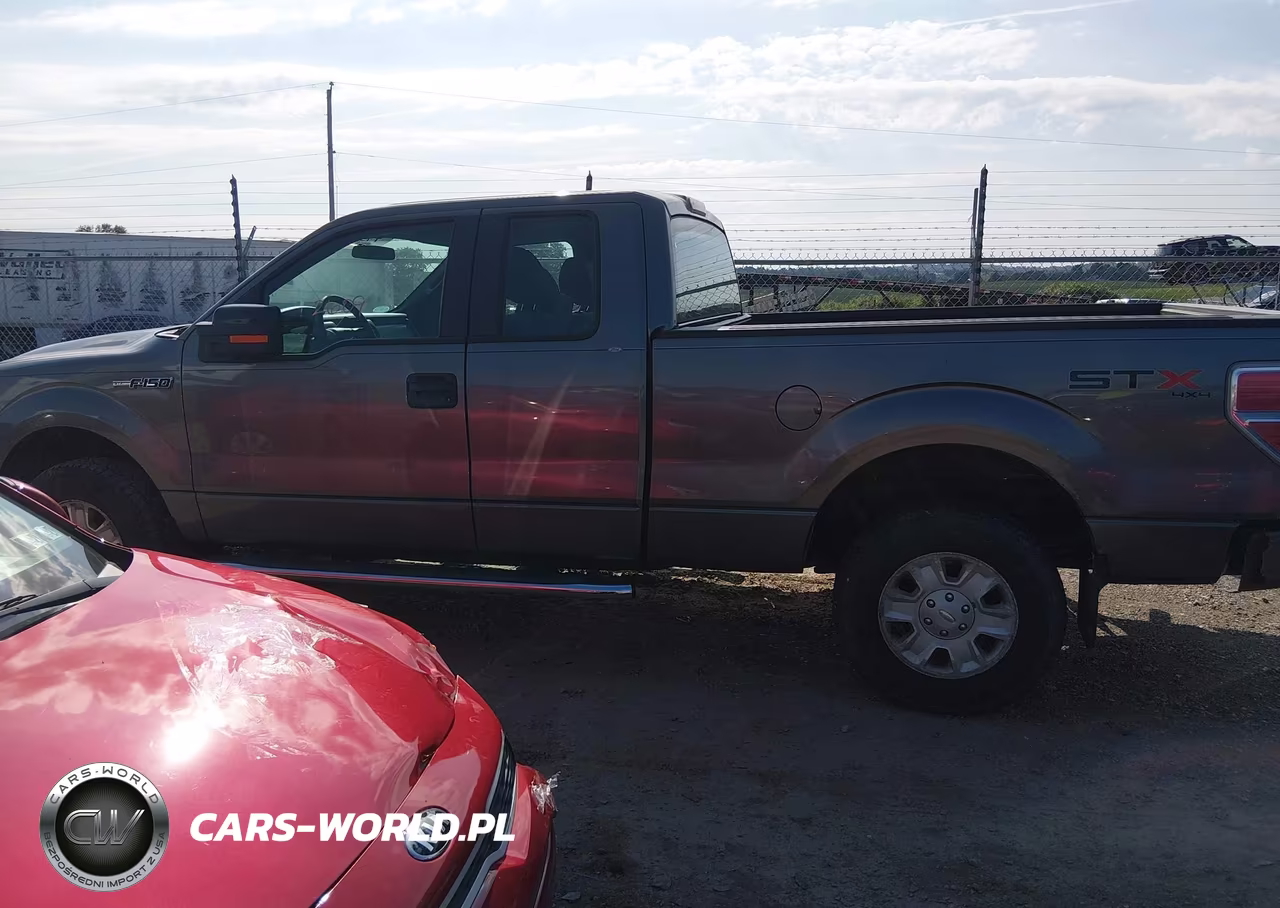 2011 Ford F-150 Stx VIN:1FTEX1EM6BFB20095 - 14