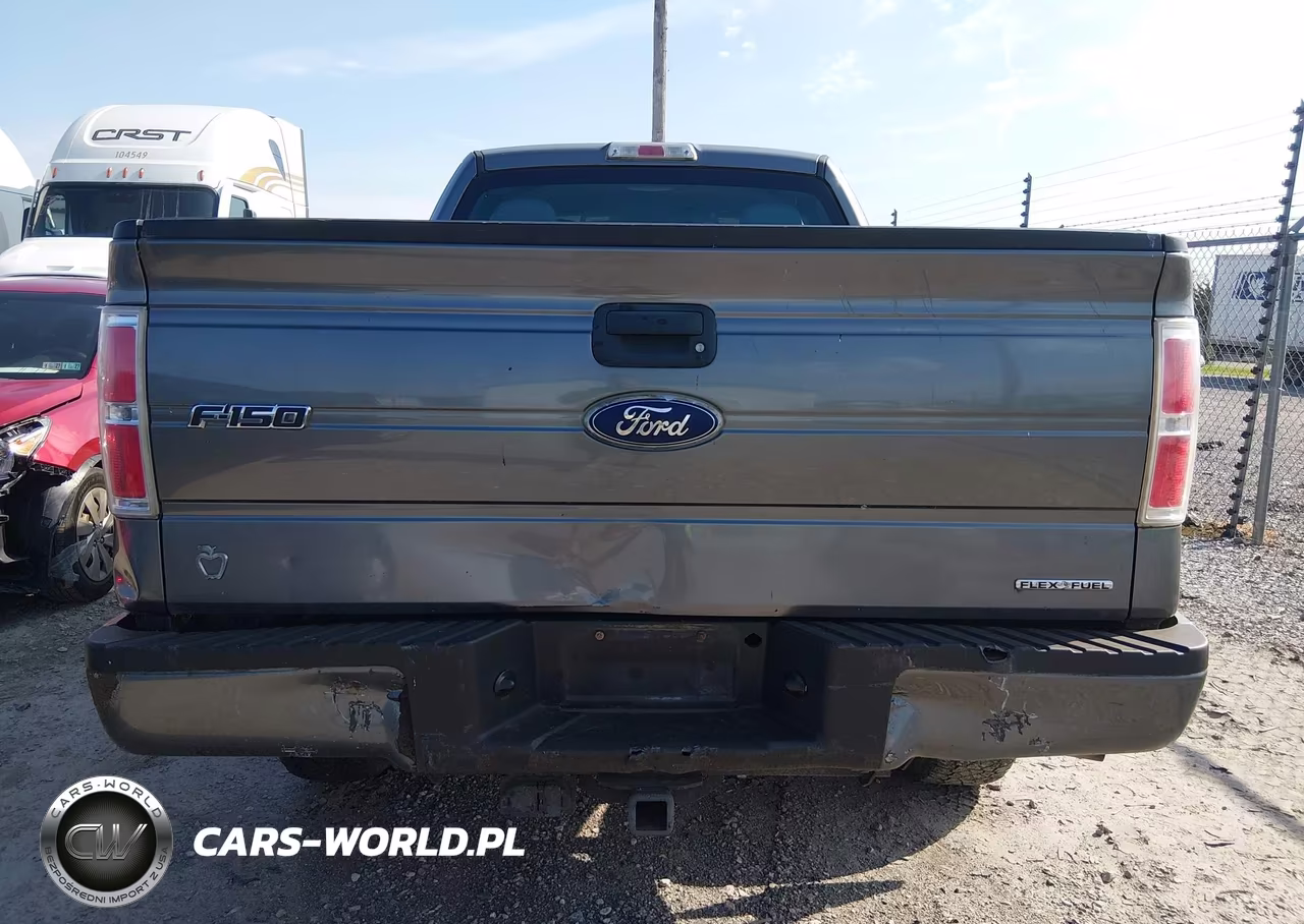 2011 Ford F-150 Stx VIN:1FTEX1EM6BFB20095 - 16