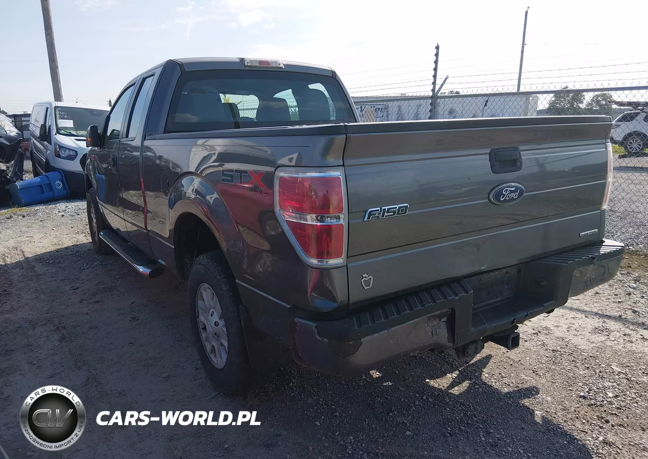 2011 Ford F-150 Stx VIN:1FTEX1EM6BFB20095 - 3