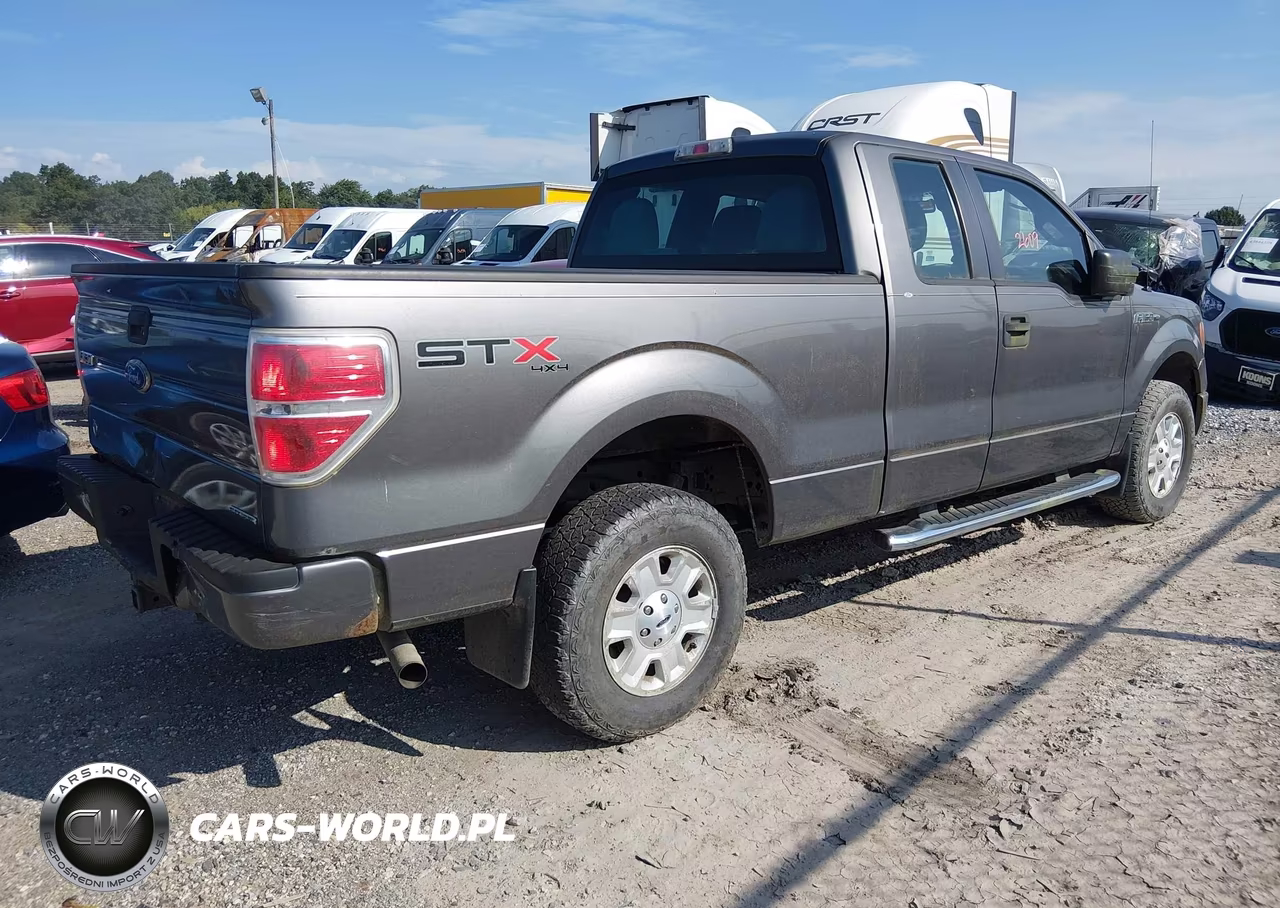 2011 Ford F-150 Stx VIN:1FTEX1EM6BFB20095 - 4