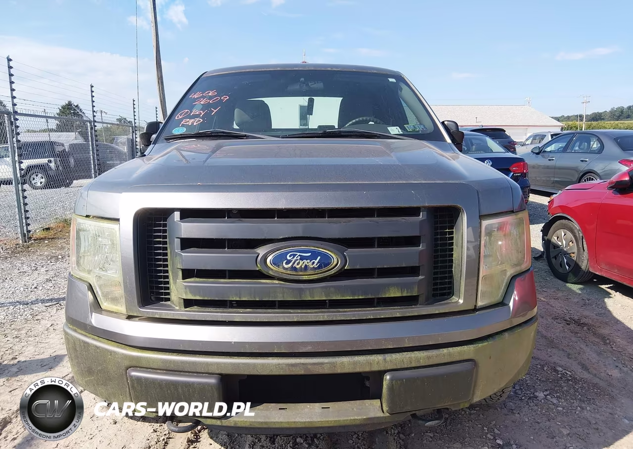 2011 Ford F-150 Stx VIN:1FTEX1EM6BFB20095 - 6
