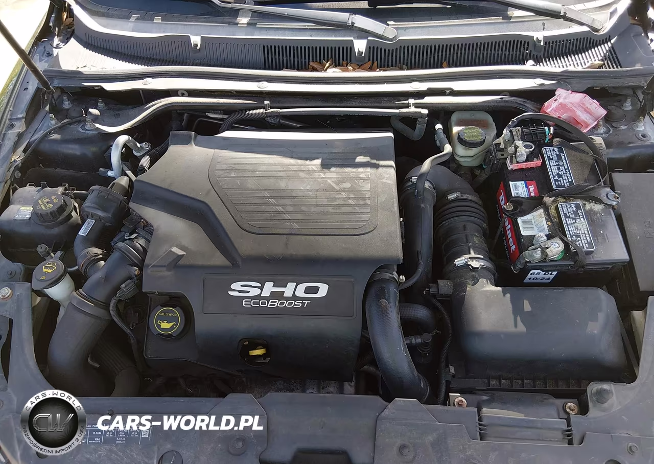 2015 Ford Taurus Sho VIN:1FAHP2KT4FG174631 - 10