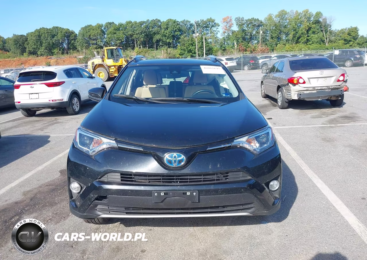 2016 Toyota Rav4 Hybrid Xle VIN:JTMRJREV9GD054543 - 12