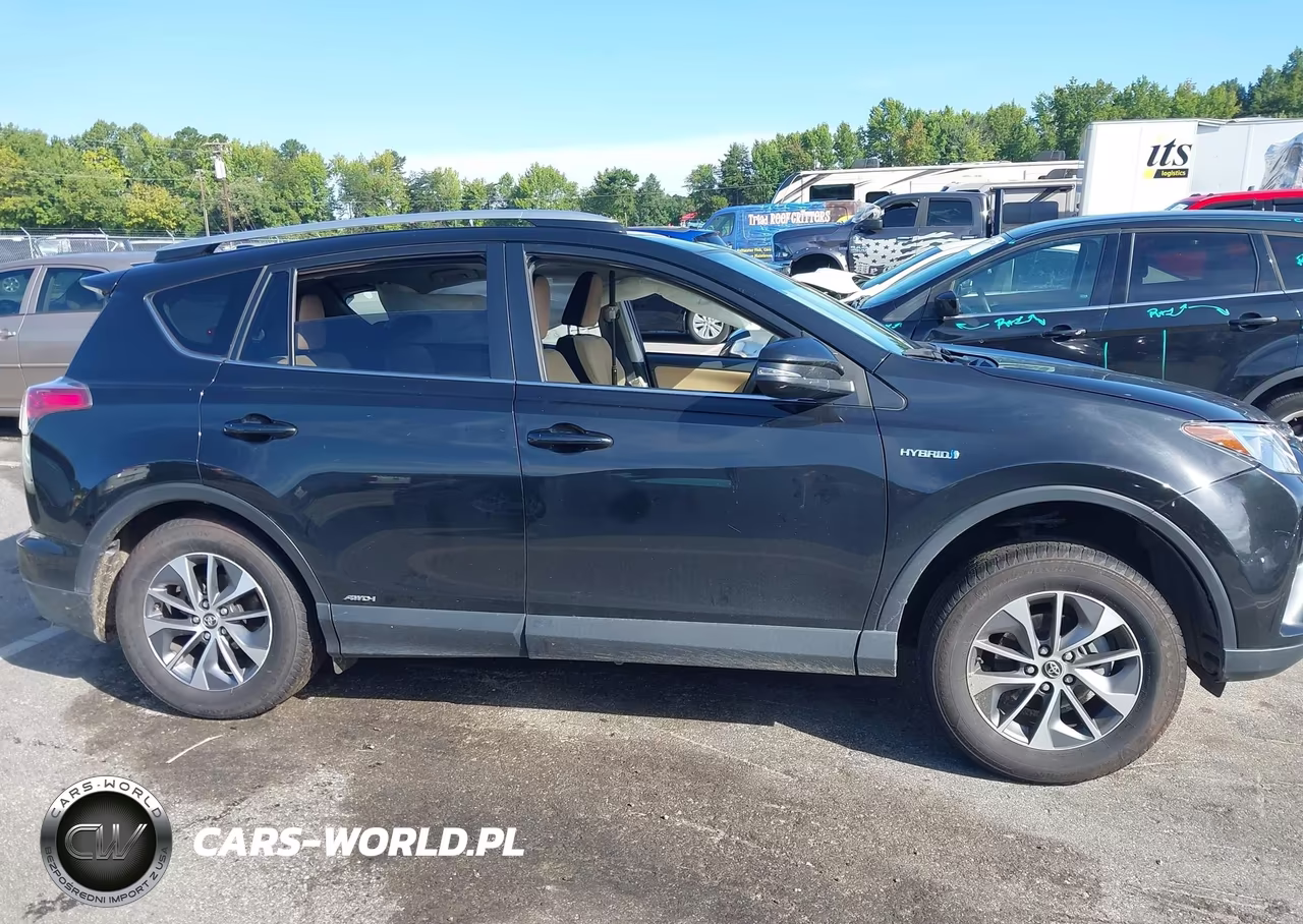 2016 Toyota Rav4 Hybrid Xle VIN:JTMRJREV9GD054543 - 13