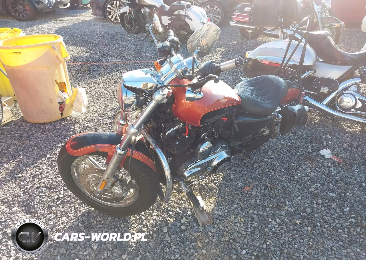 2011 Harley-Davidson Xlh1200 C VIN:1HD1CT328BC431390 - 2