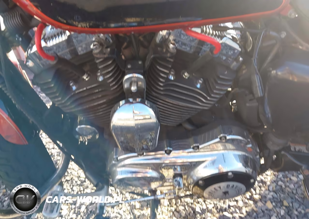 2011 Harley-Davidson Xlh1200 C VIN:1HD1CT328BC431390 - 9