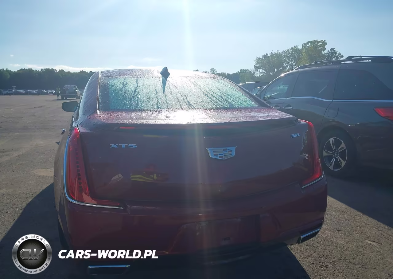 2019 Cadillac Xts Luxury VIN:2G61M5S38K9160832 - 16