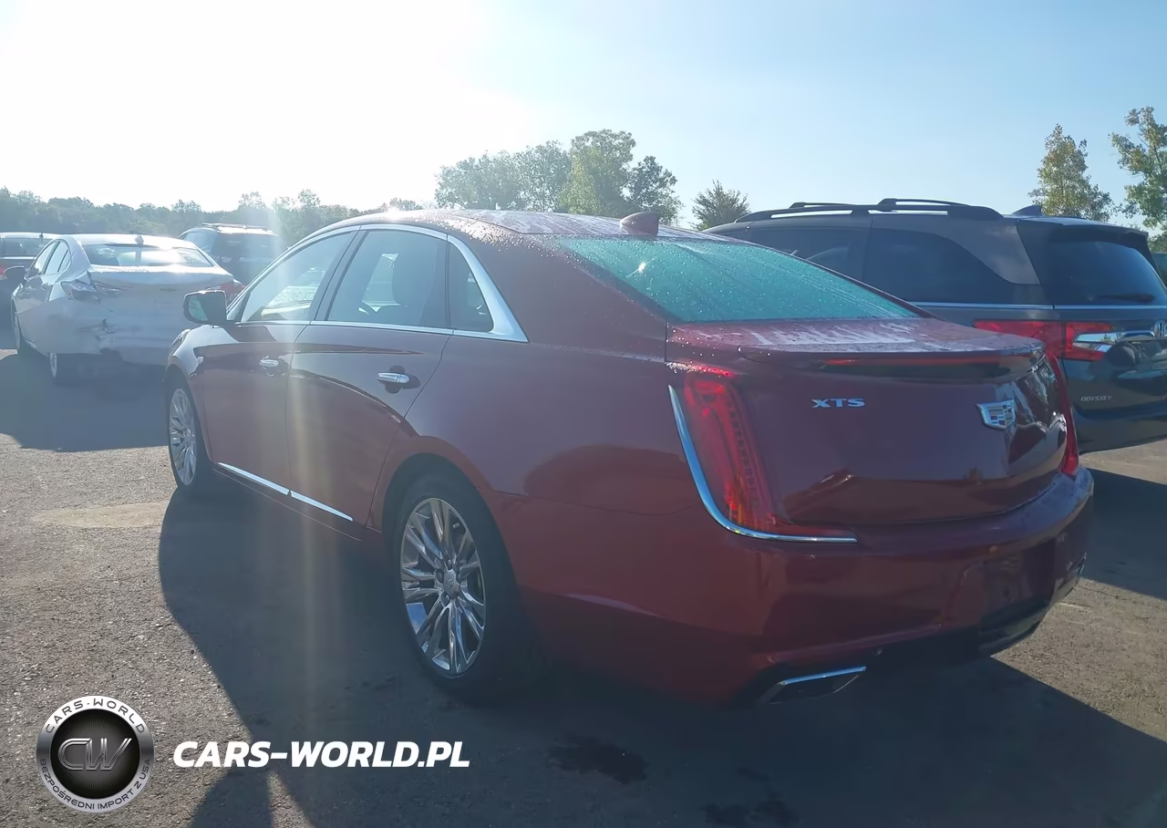 2019 Cadillac Xts Luxury VIN:2G61M5S38K9160832 - 3