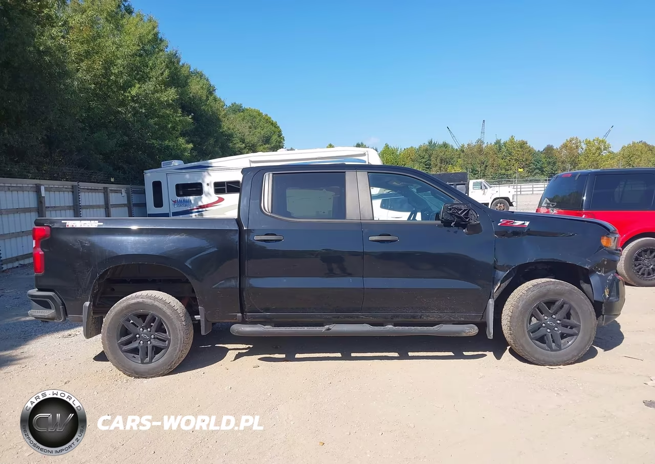 2020 Chevrolet Silverado 1500 4Wd Short Bed Custom Trail Boss VIN:1GCPYCEF8LZ184397 - 12