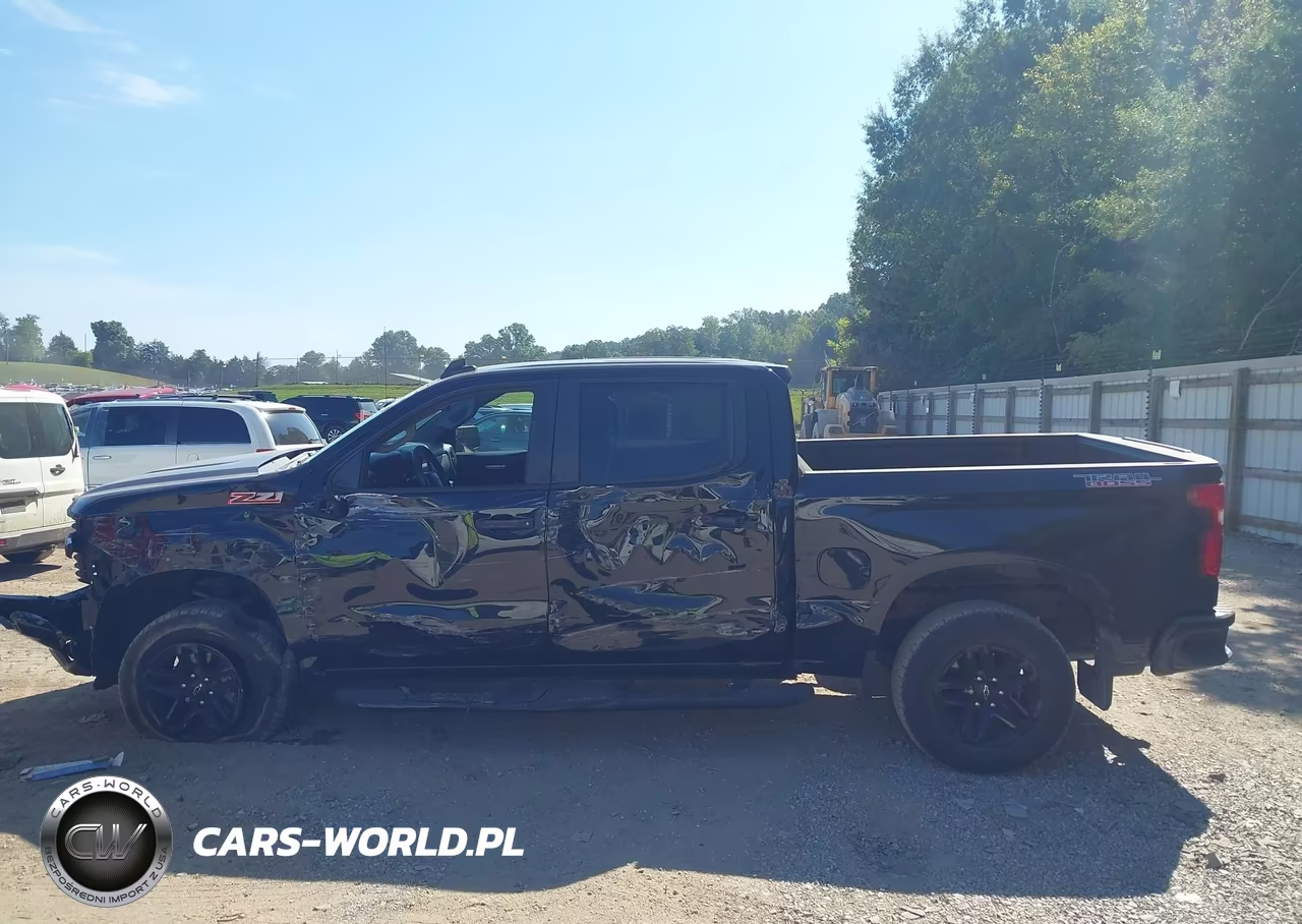 2020 Chevrolet Silverado 1500 4Wd Short Bed Custom Trail Boss VIN:1GCPYCEF8LZ184397 - 13