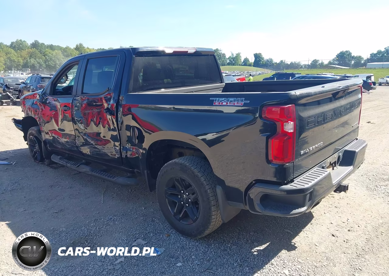 2020 Chevrolet Silverado 1500 4Wd Short Bed Custom Trail Boss VIN:1GCPYCEF8LZ184397 - 3