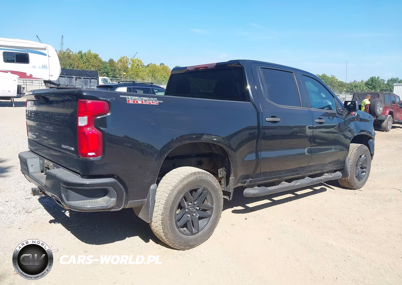 2020 Chevrolet Silverado 1500 4Wd Short Bed Custom Trail Boss VIN:1GCPYCEF8LZ184397 - 4