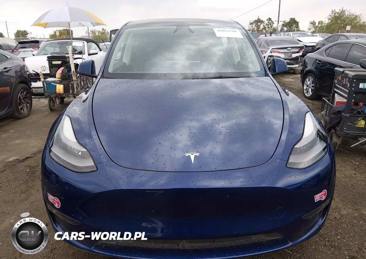 2023 Tesla Model Y Awd-Long Range Dual Motor All-Wheel Drive VIN:7SAYGDEE8PF949076 - 12