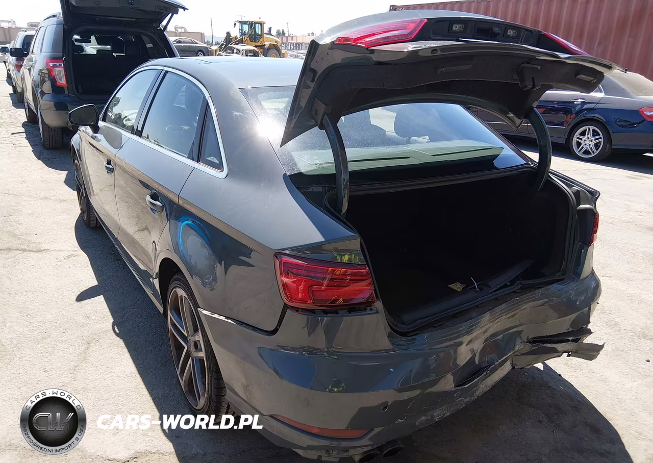 2019 Audi A3 40 Premium-40 Titanium Premium VIN:WAUAUGFF1K1011628 - 3