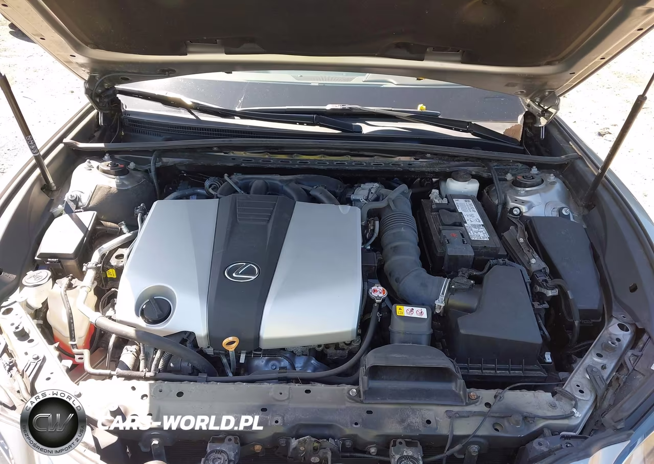 2021 Lexus Es 350 VIN:58ADZ1B17MU106905 - 10