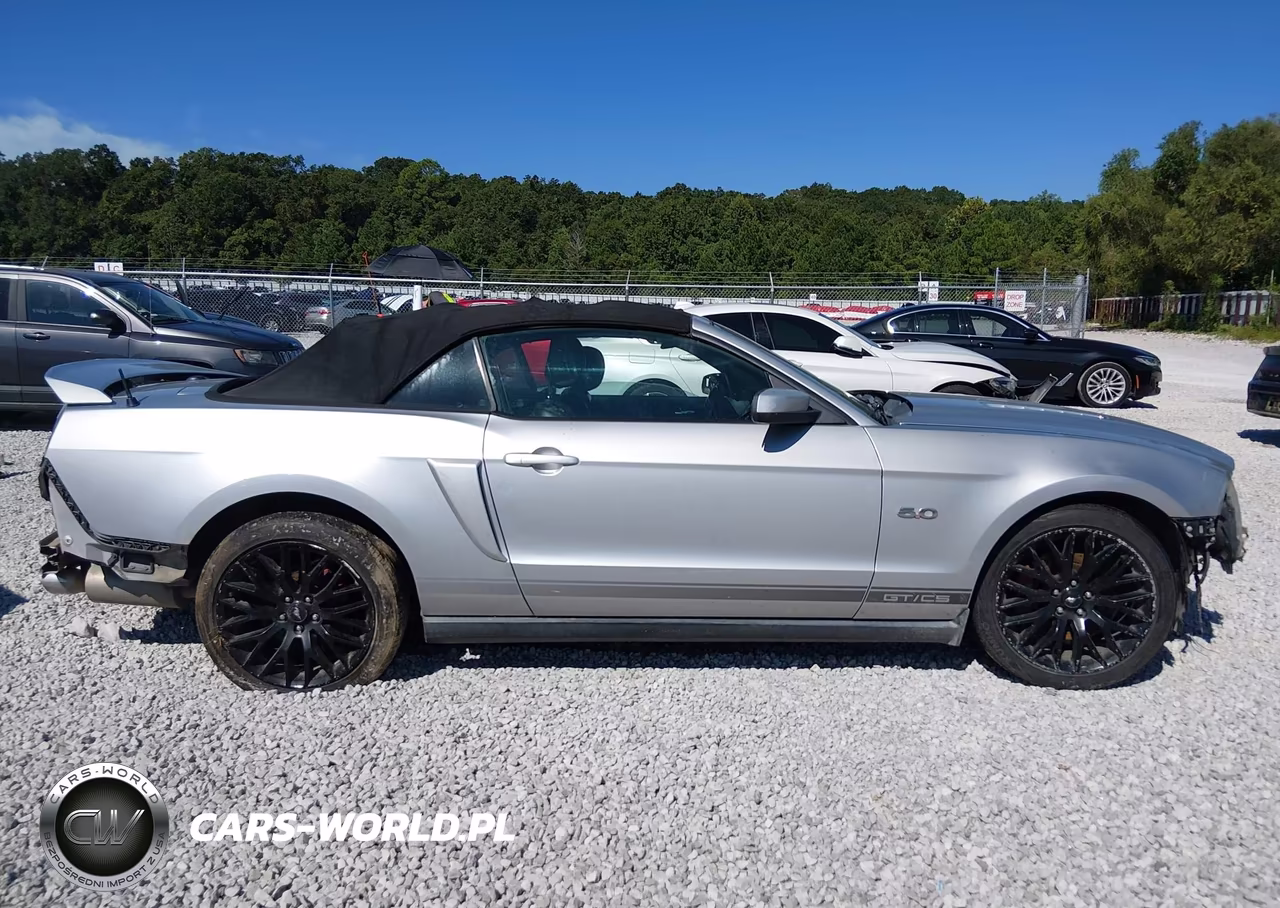 2014 Ford Mustang Gt Premium VIN:1ZVBP8FF9E5206908 - 13