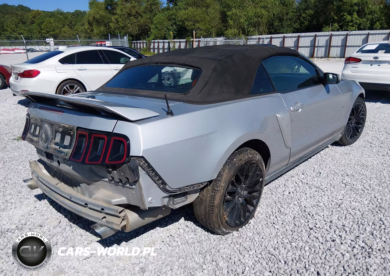 2014 Ford Mustang Gt Premium VIN:1ZVBP8FF9E5206908 - 4