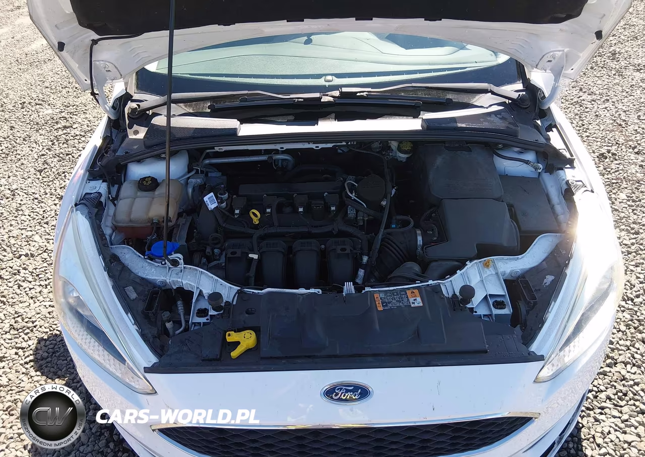 2016 Ford Focus Se VIN:1FADP3K2XGL289559 - 10