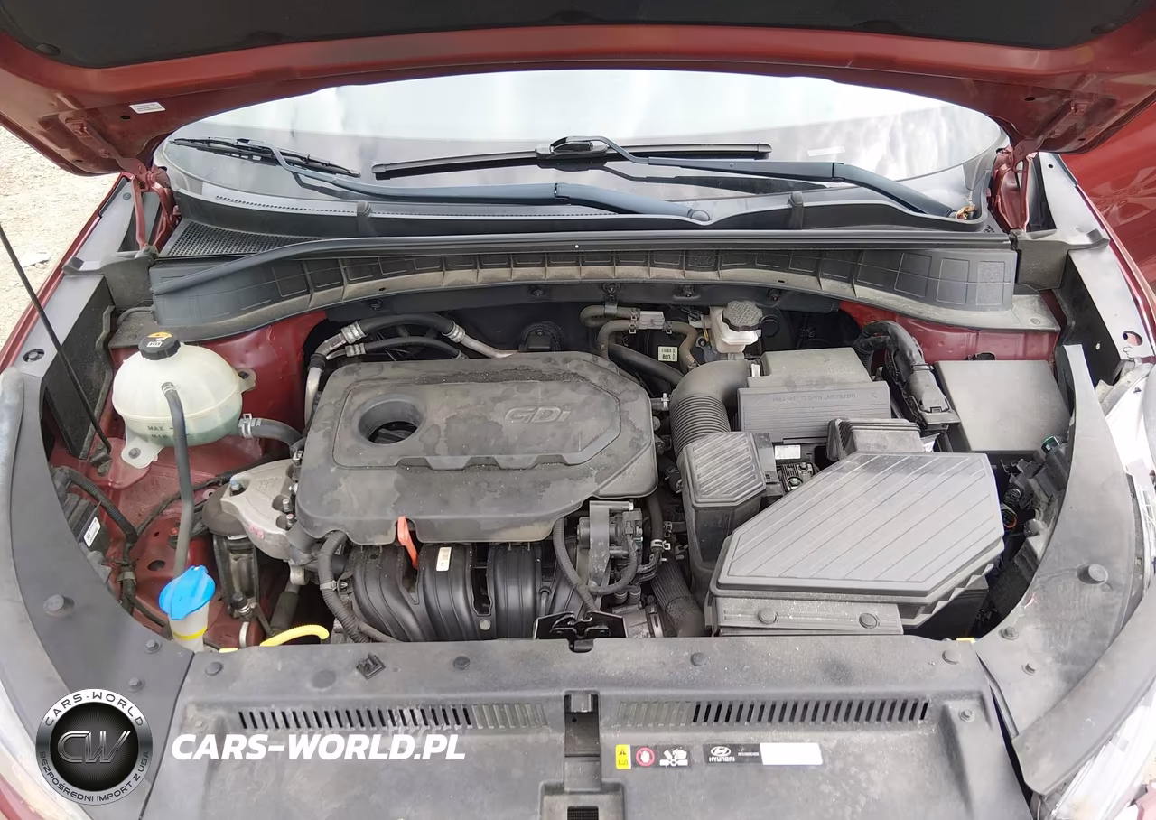 2019 Hyundai Tucson Sel VIN:KM8J33AL0KU985915 - 10