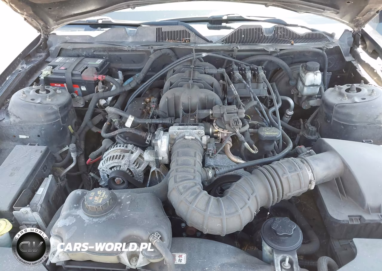 2010 Ford Mustang V6-V6 Premium VIN:1ZVBP8AN6A5179997 - 10