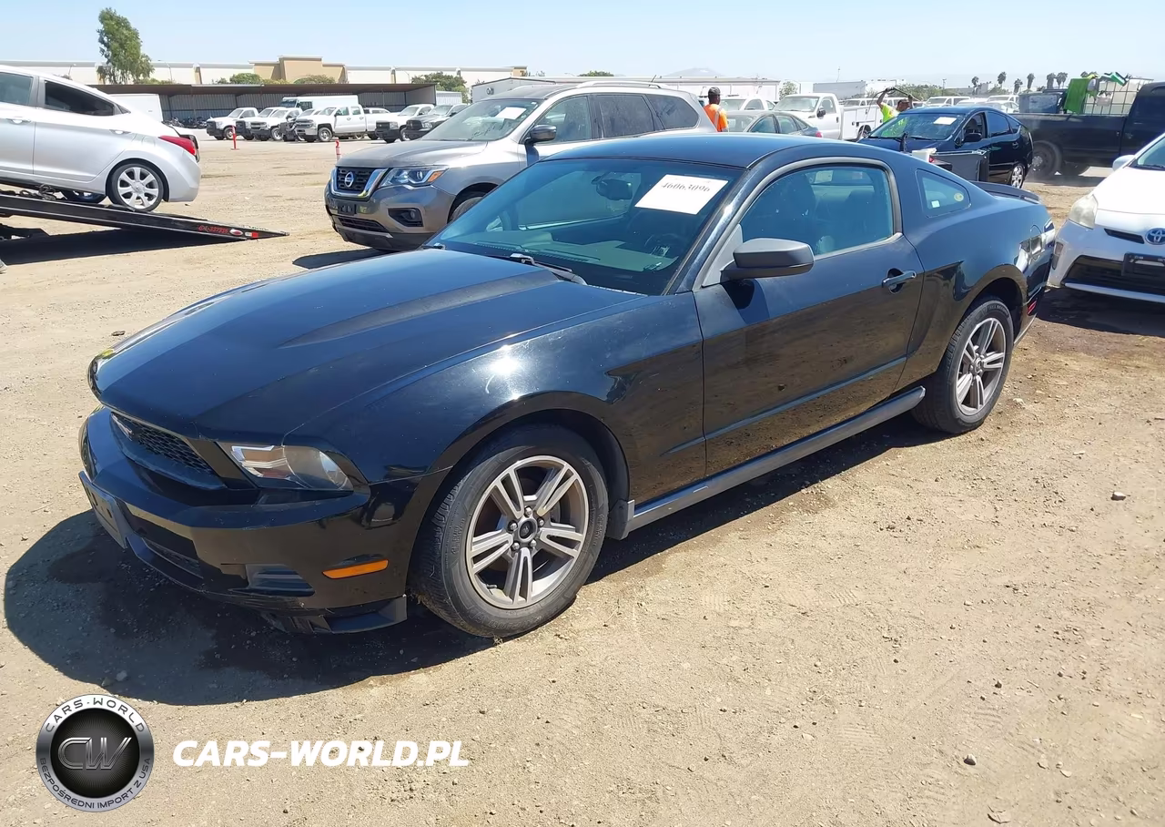 2010 Ford Mustang V6-V6 Premium VIN:1ZVBP8AN6A5179997 - 2
