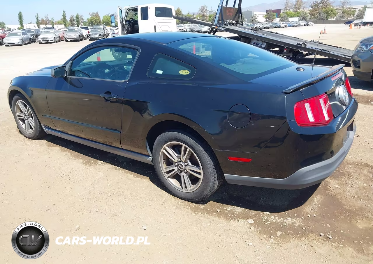 2010 Ford Mustang V6-V6 Premium VIN:1ZVBP8AN6A5179997 - 3