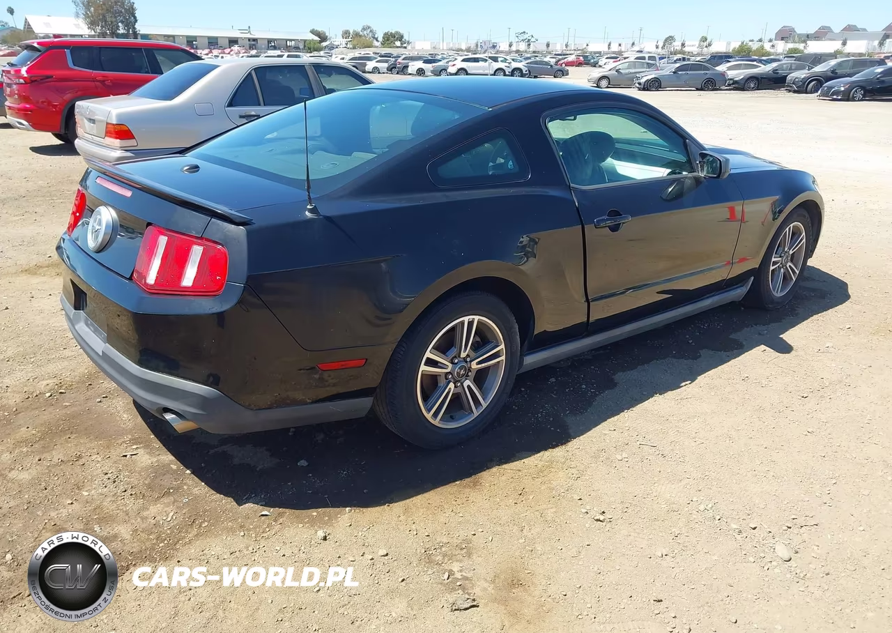 2010 Ford Mustang V6-V6 Premium VIN:1ZVBP8AN6A5179997 - 4