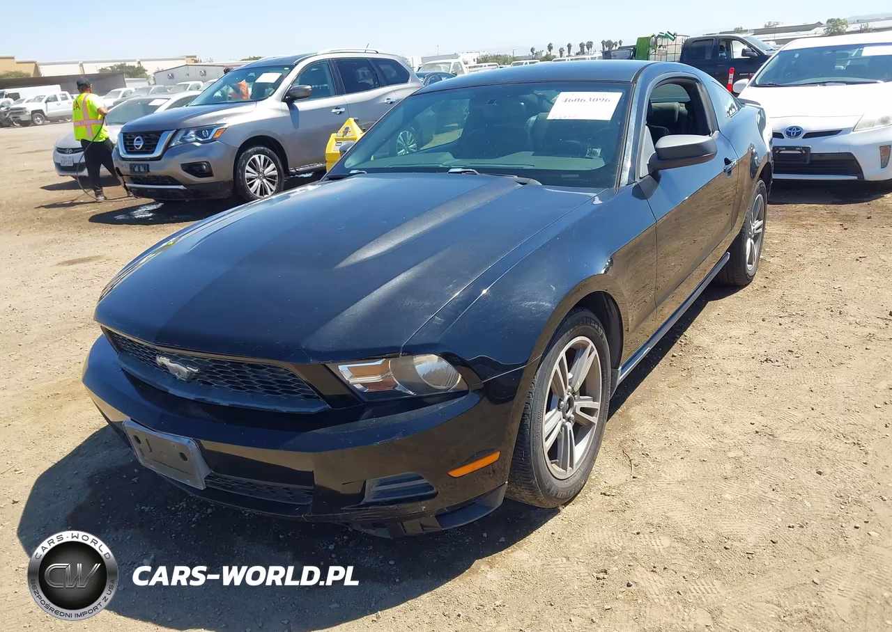 2010 Ford Mustang V6-V6 Premium VIN:1ZVBP8AN6A5179997 - 6