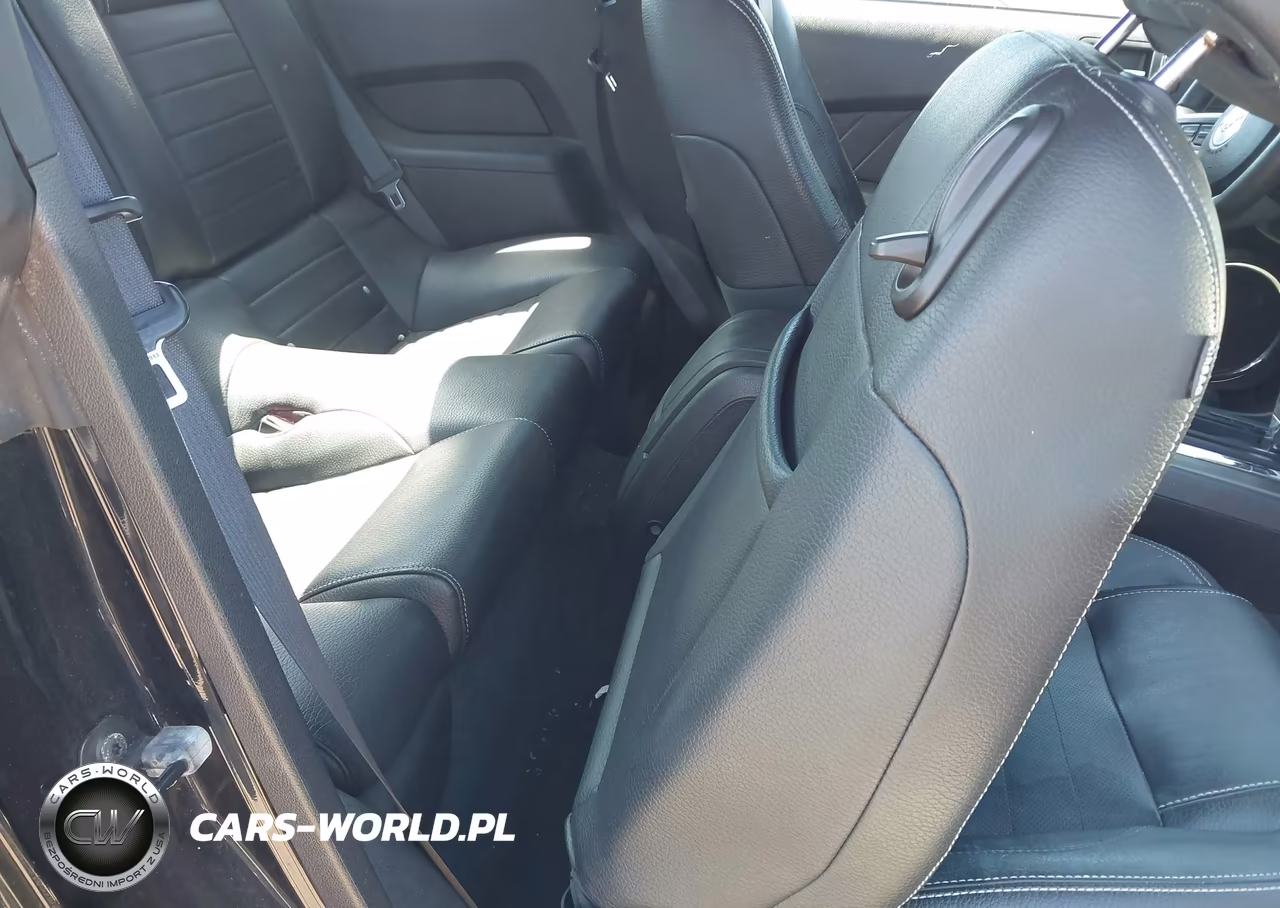 2010 Ford Mustang V6-V6 Premium VIN:1ZVBP8AN6A5179997 - 8