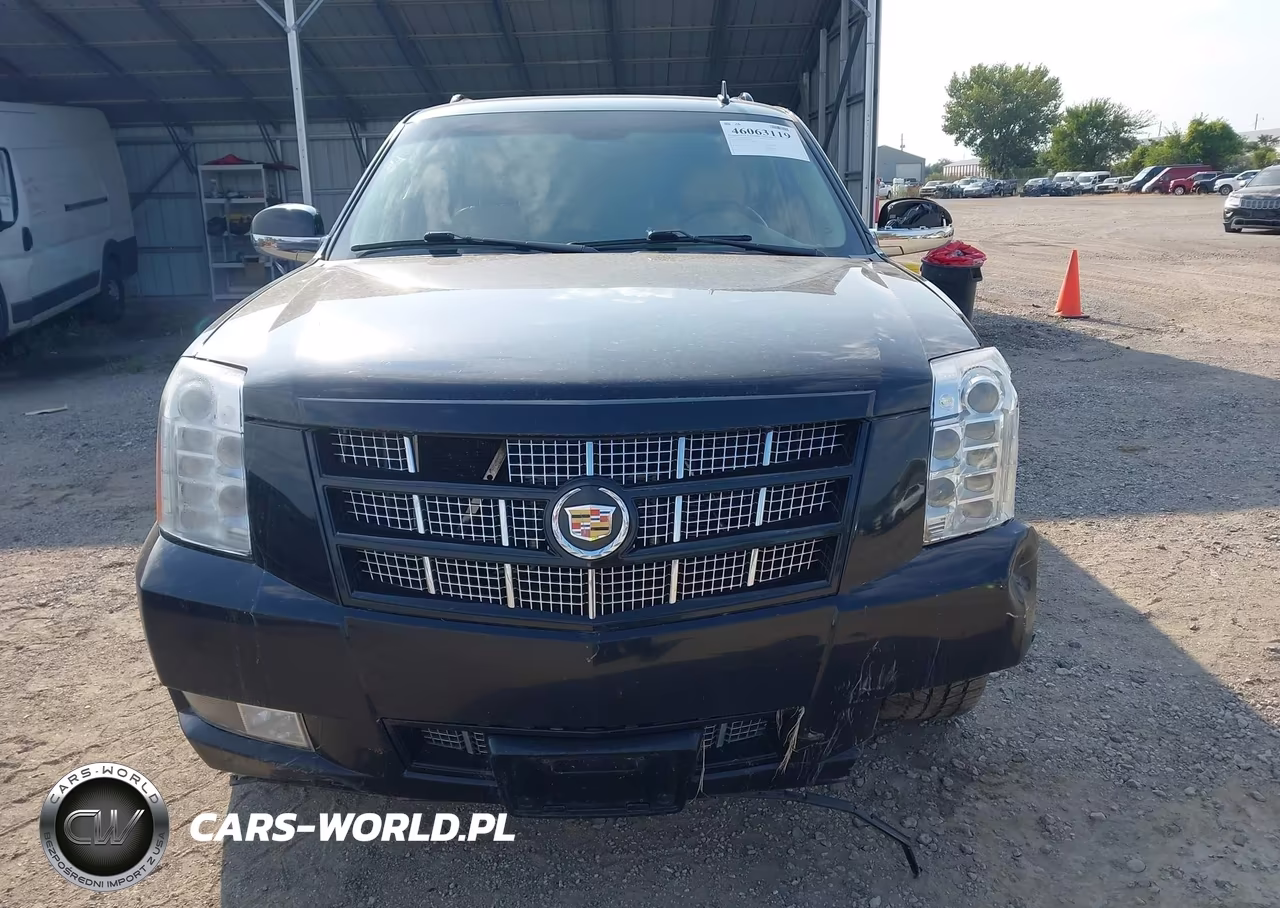 2013 Cadillac Escalade Esv Premium VIN:1GYS4JEF1DR203989 - 12
