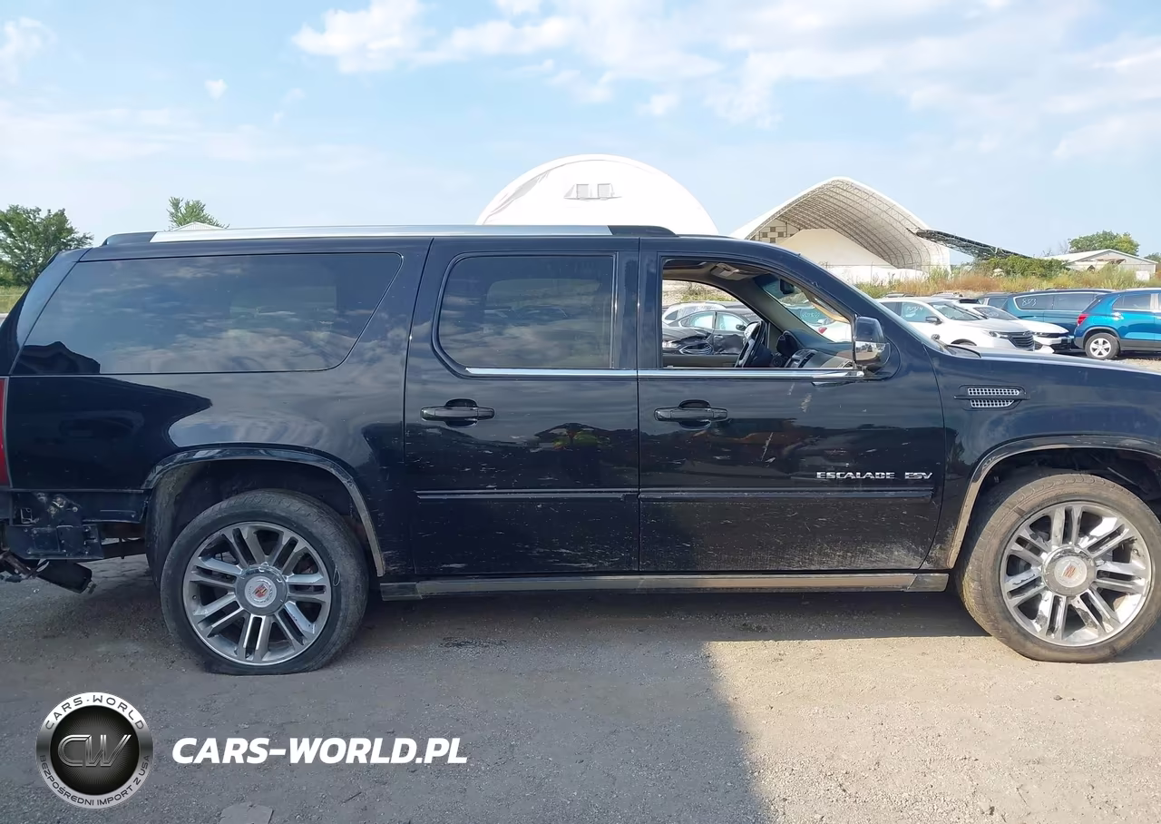 2013 Cadillac Escalade Esv Premium VIN:1GYS4JEF1DR203989 - 13