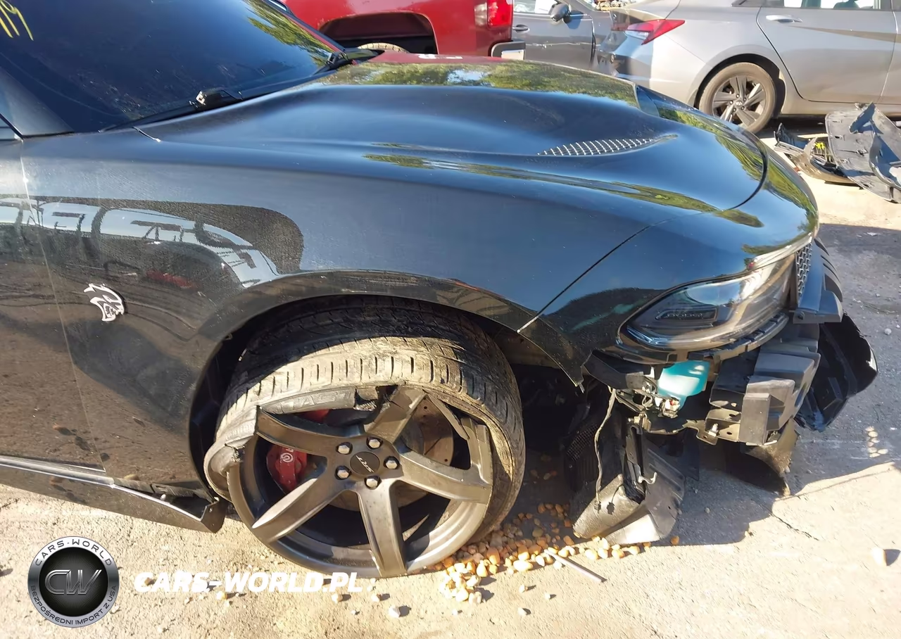 2018 Dodge Charger Srt Hellcat Rwd VIN:2C3CDXL93JH120879 - 17