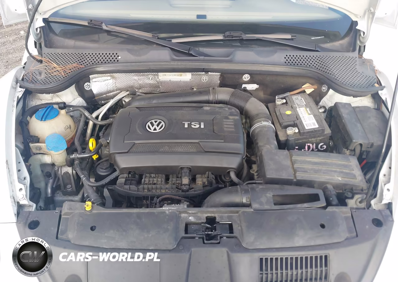 2014 Volkswagen Beetle 1.8T VIN:3VW517AT5EM816787 - 10