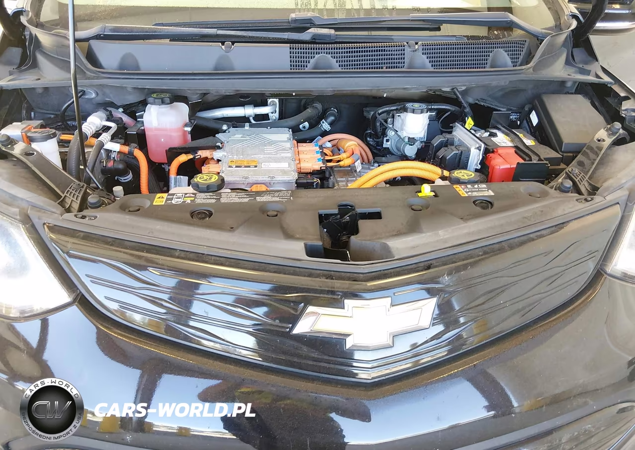 2021 Chevrolet Bolt Ev Fwd Lt VIN:1G1FY6S06M4110304 - 10