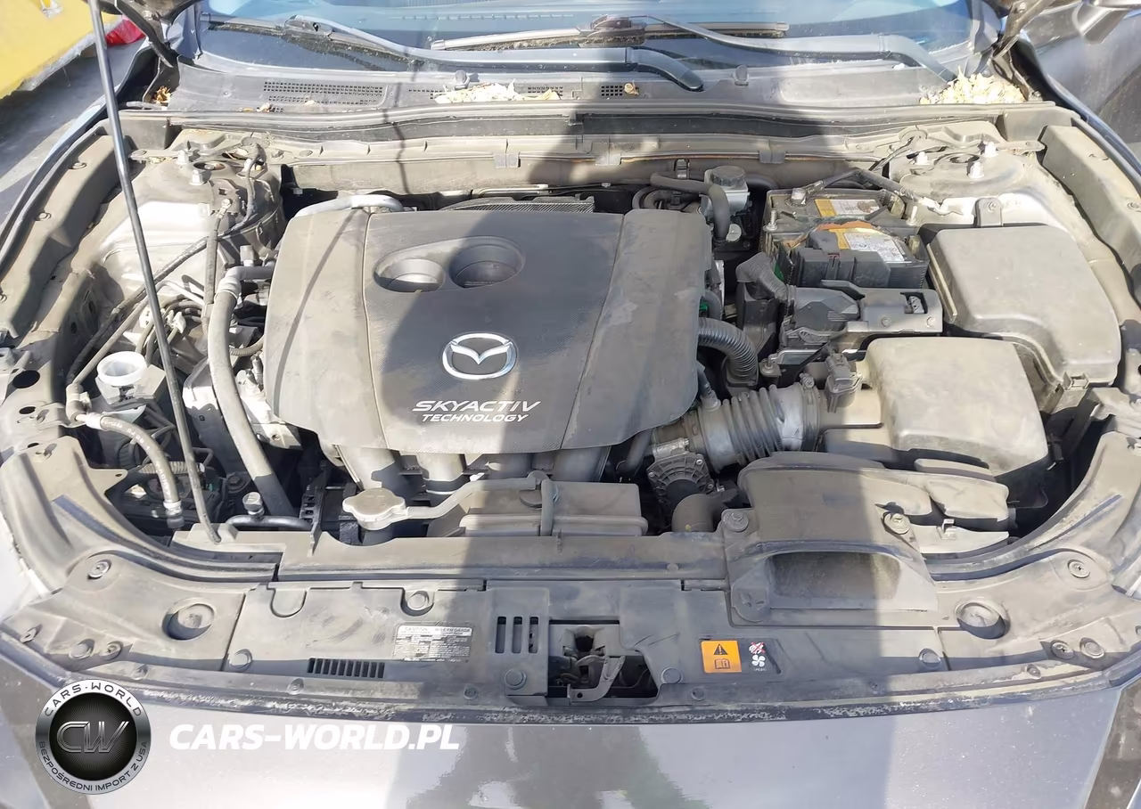 2015 Mazda Mazda3 I Touring VIN:JM1BM1L73F1246605 - 10