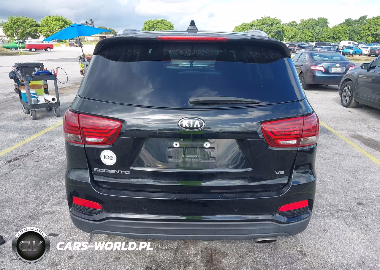 2019 Kia Sorento 3.3L Lx VIN:5XYPG4A55KG456892 - 16