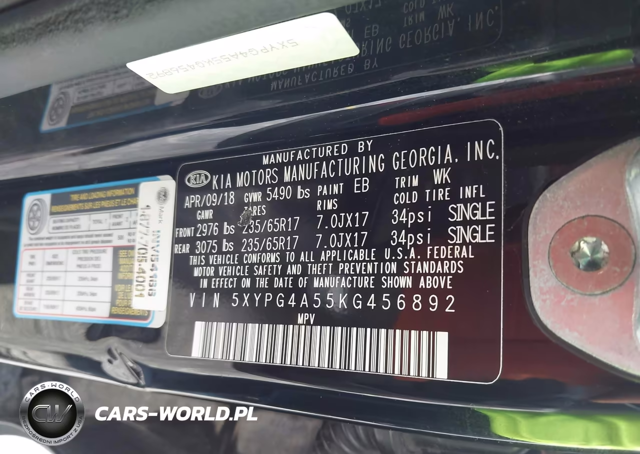 2019 Kia Sorento 3.3L Lx VIN:5XYPG4A55KG456892 - 9