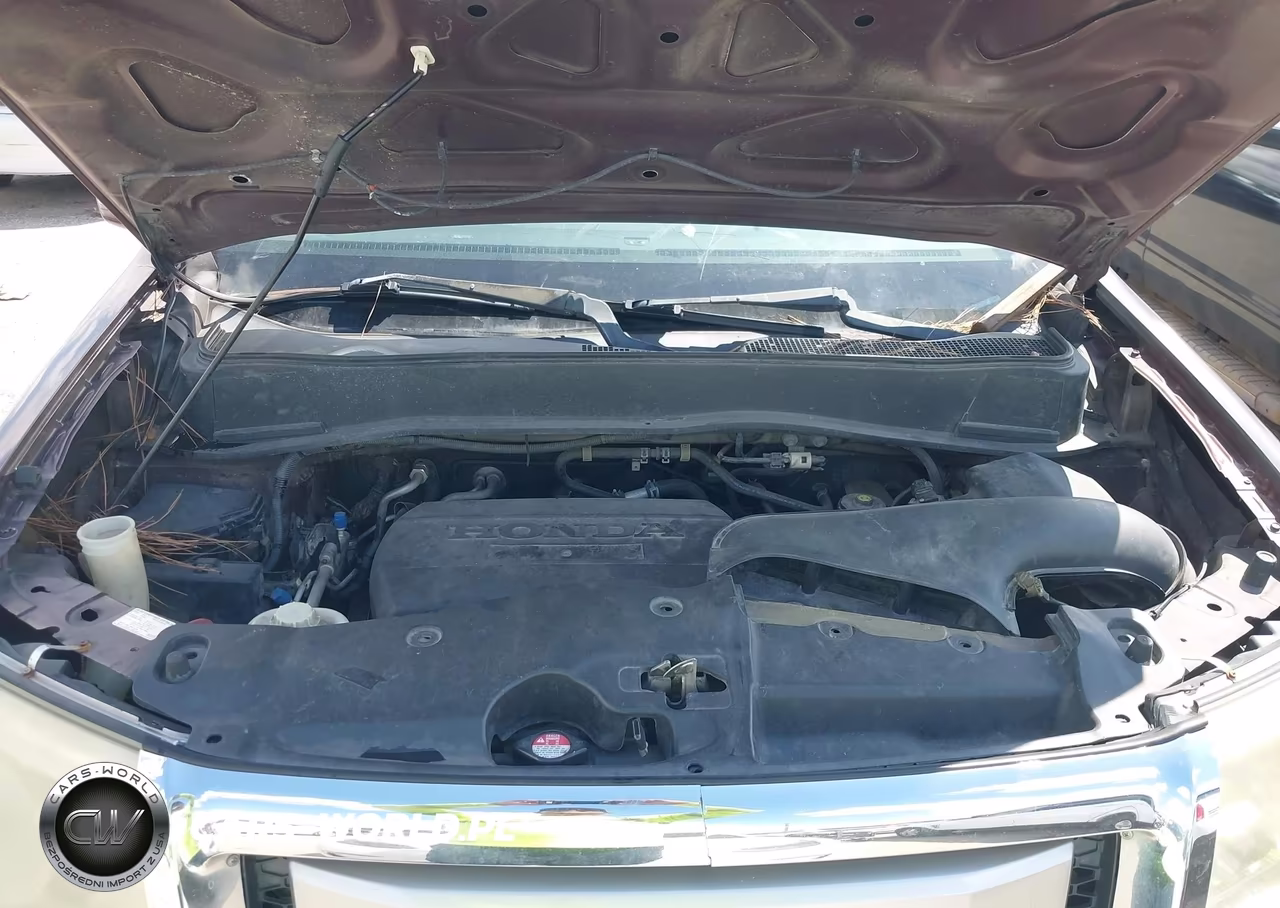 2010 Honda Pilot Ex-L VIN:5FNYF3H55AB018970 - 10