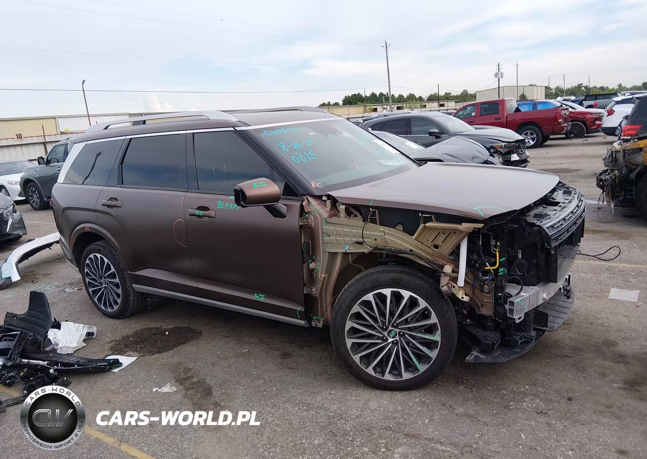 2026 Hyundai Palisade Calligraphy VIN:KM8RM5S21TU040815 - 13