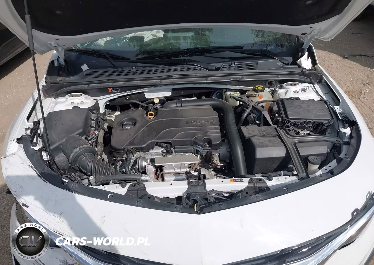 2019 Chevrolet Malibu Lt VIN:1G1ZD5ST4KF113121 - 10