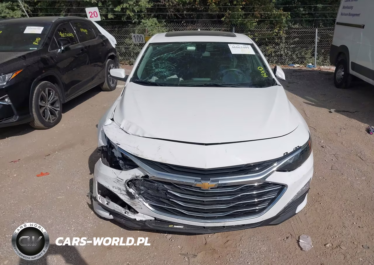 2019 Chevrolet Malibu Lt VIN:1G1ZD5ST4KF113121 - 12