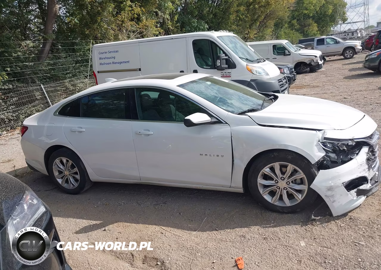 2019 Chevrolet Malibu Lt VIN:1G1ZD5ST4KF113121 - 13