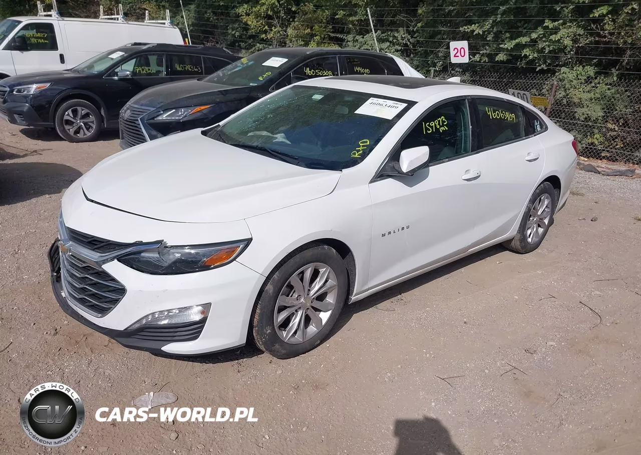 2019 Chevrolet Malibu Lt VIN:1G1ZD5ST4KF113121 - 2