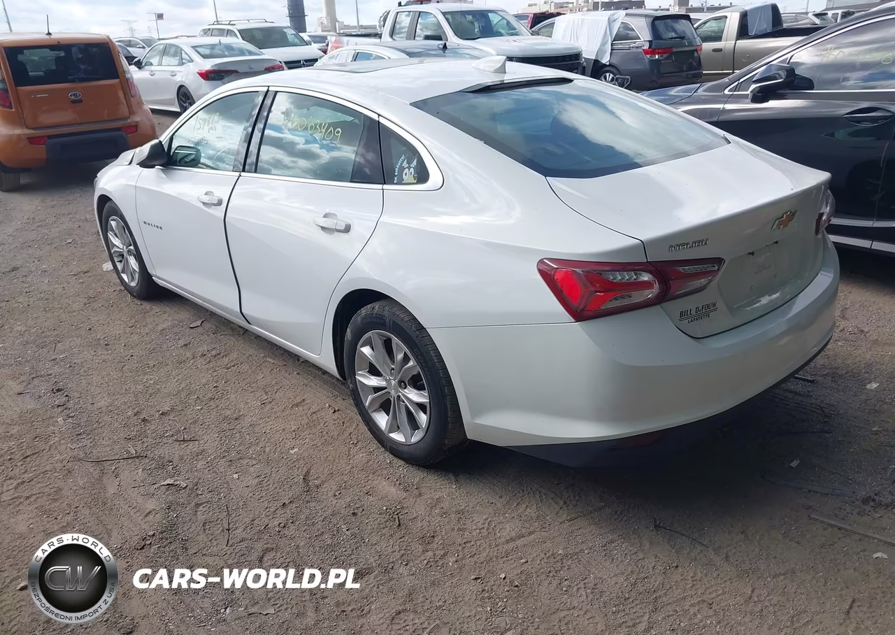 2019 Chevrolet Malibu Lt VIN:1G1ZD5ST4KF113121 - 3