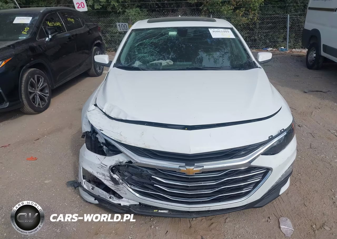 2019 Chevrolet Malibu Lt VIN:1G1ZD5ST4KF113121 - 6